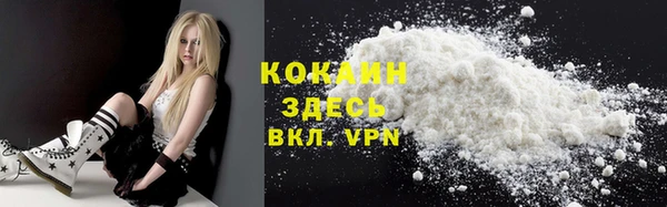 прущие грибы Козловка