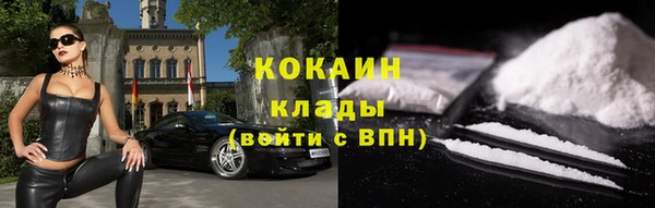 прущие грибы Козловка