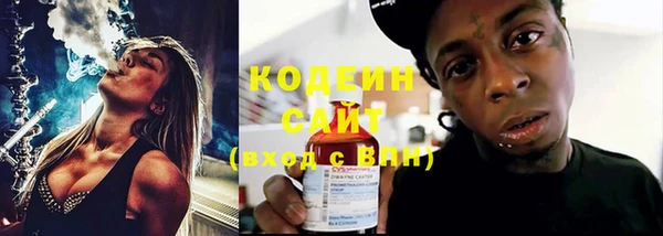 прущие грибы Козловка