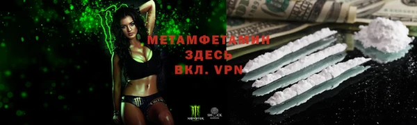 прущие грибы Козловка
