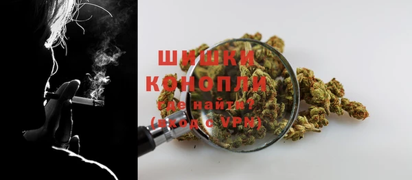 прущие грибы Козловка