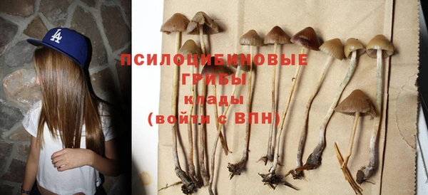 меф Козельск