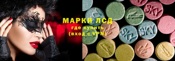 прущие грибы Козловка
