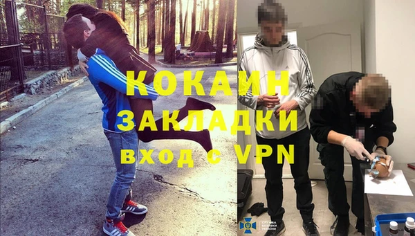 прущие грибы Козловка