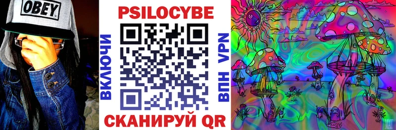 Купить  Шелехов  Галлюциногенные грибы мухоморы 